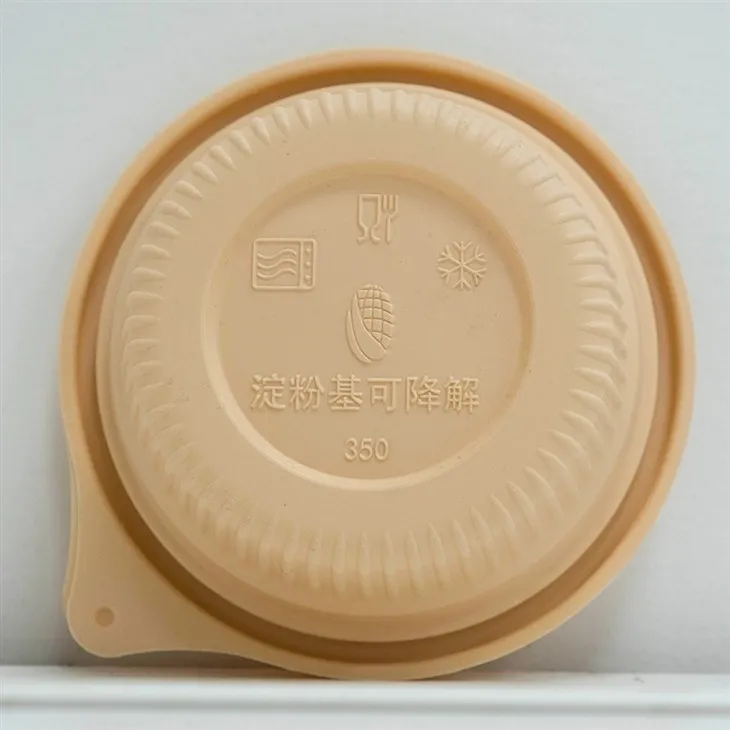 Biodegradable Bowls for Foodies - A Green Solution for Every Bite (2)