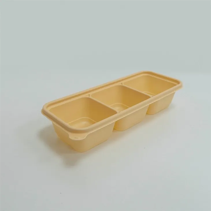 Daily Use Biodegradable Lunch Boxes - Designed for Durability (2)